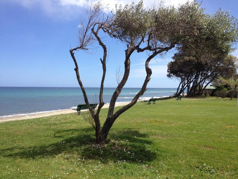 Studio A 100M De La Plage Et De La Piscine セルヴィオーヌ エクステリア 写真